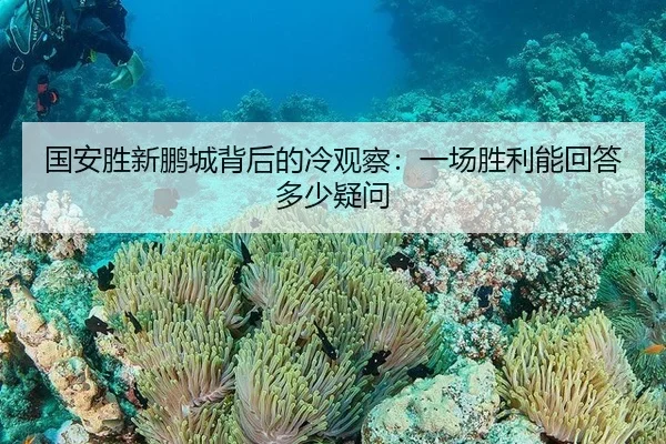 国安胜新鹏城背后的冷观察：一场胜利能回答多少疑问 | xingkong